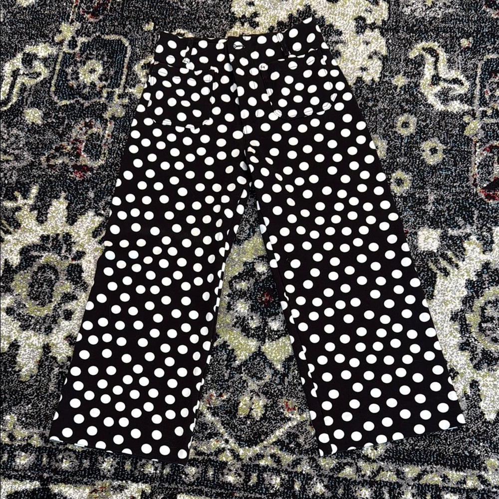 Anthropologie Maeve Colette polka dot pant size 29